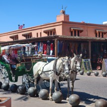 Carriage in Marrakesh